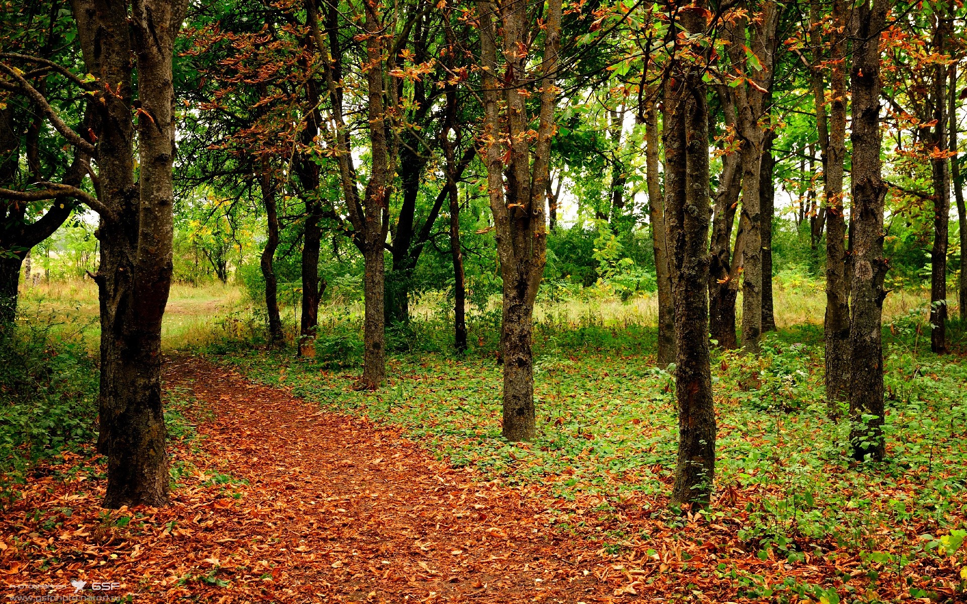 开云体育APP下载-你提供的三个关键词组合在一起，确实构成了一个独特的故事场景。这更像是一篇需要挖掘深度关联的文章，而不是简单的赛事报道