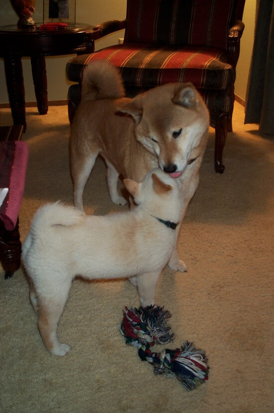 定心与雄心，湖人的昨日决胜，与一道来自东部的未来暗影