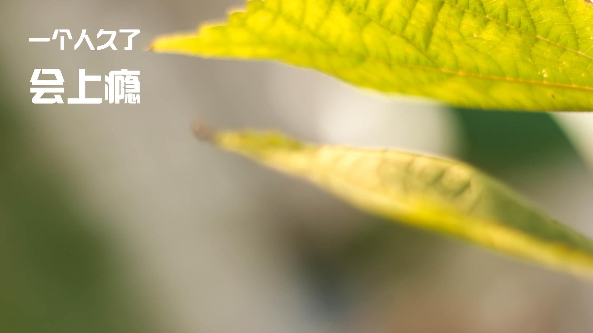 史诗般的对决，虚拟战术博弈下的皮克爆发与莱比锡红牛对伊朗的战术压制