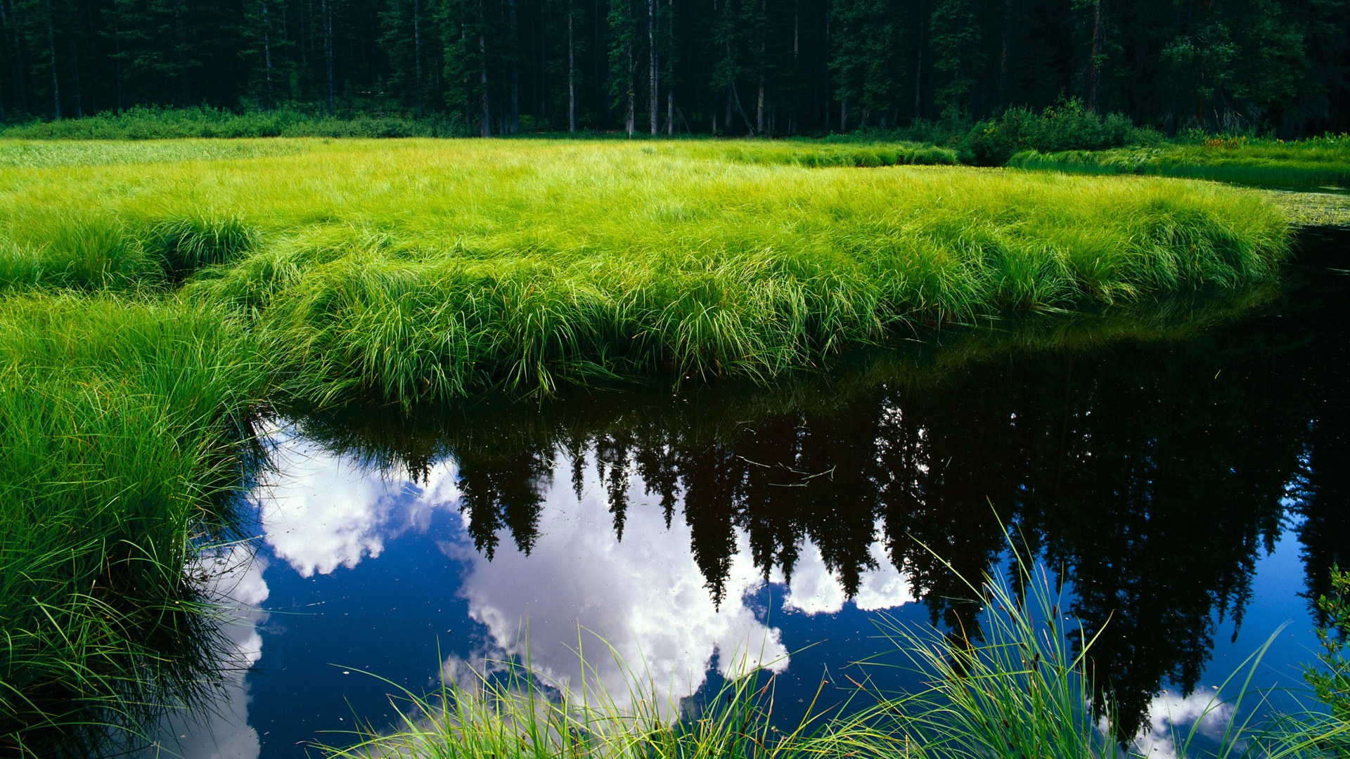 跨界窒息时刻,当多特蒙德的战术终局,遇见阿坎吉的冷面接管