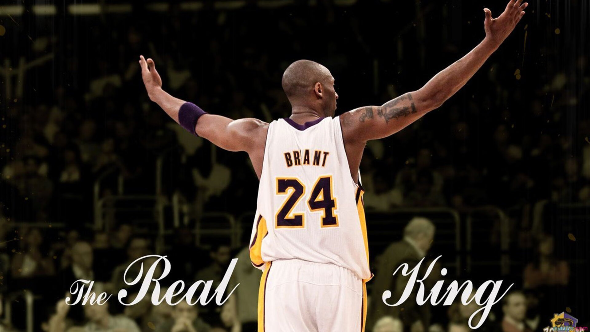 铁锁横江，从保罗的防守哲学看热火如何织网困住广厦