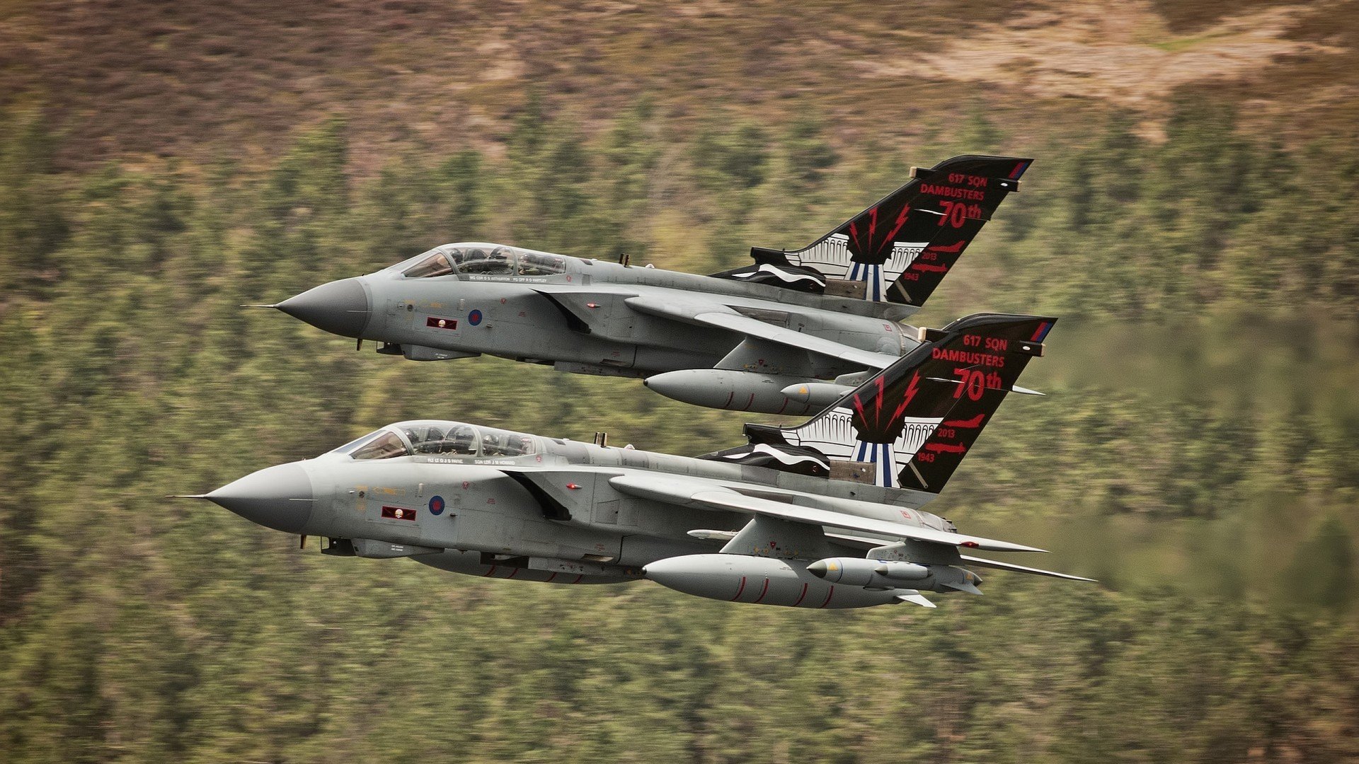 从非洲草原到欧洲之巅，那些被遗忘的非典型英雄时刻