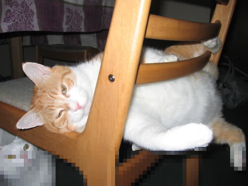 铁闸定江山,当范戴克成为西班牙狂潮下的反向胜负手