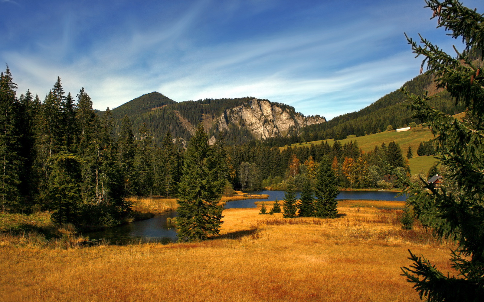 当篮球遇到欧冠,独行侠速度制胜的跨时空对话