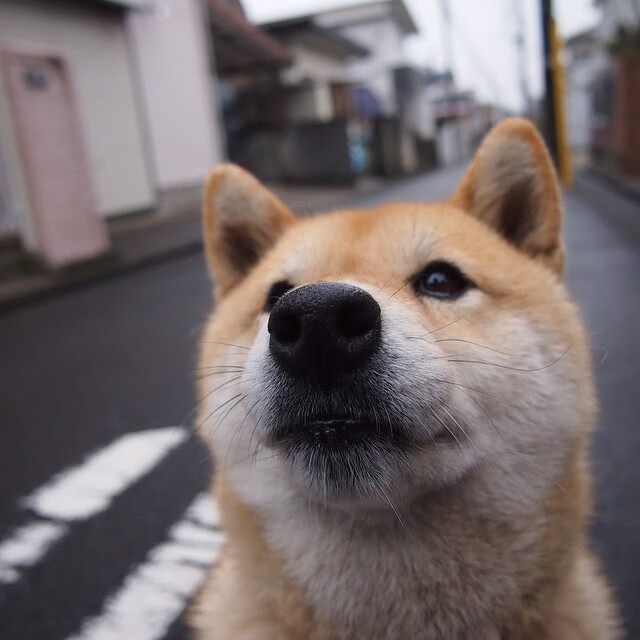 开云体育入口-关键先生门迪一锤定音，克罗地亚轻松收割伊朗晋级