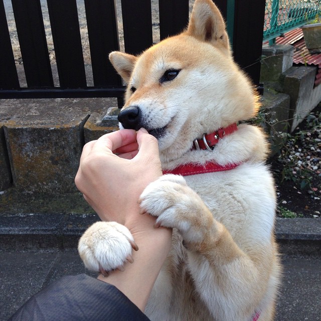 西甲国家德比之夜，金发沉默者用足球写下答案