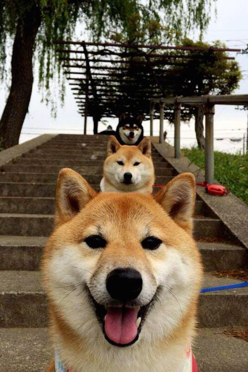 南美风暴席卷绿茵场，阿克爆发，玻利维亚连续得分压制韩国