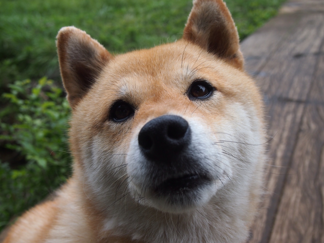 最后的穹顶之战，亚特兰大抢七横扫乌克兰，见证电竞王朝的暴力美学