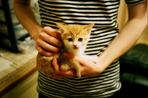 南美风暴席卷北非，当秘鲁在资源战场收割埃及，阿圭罗式人物如何改写规则？