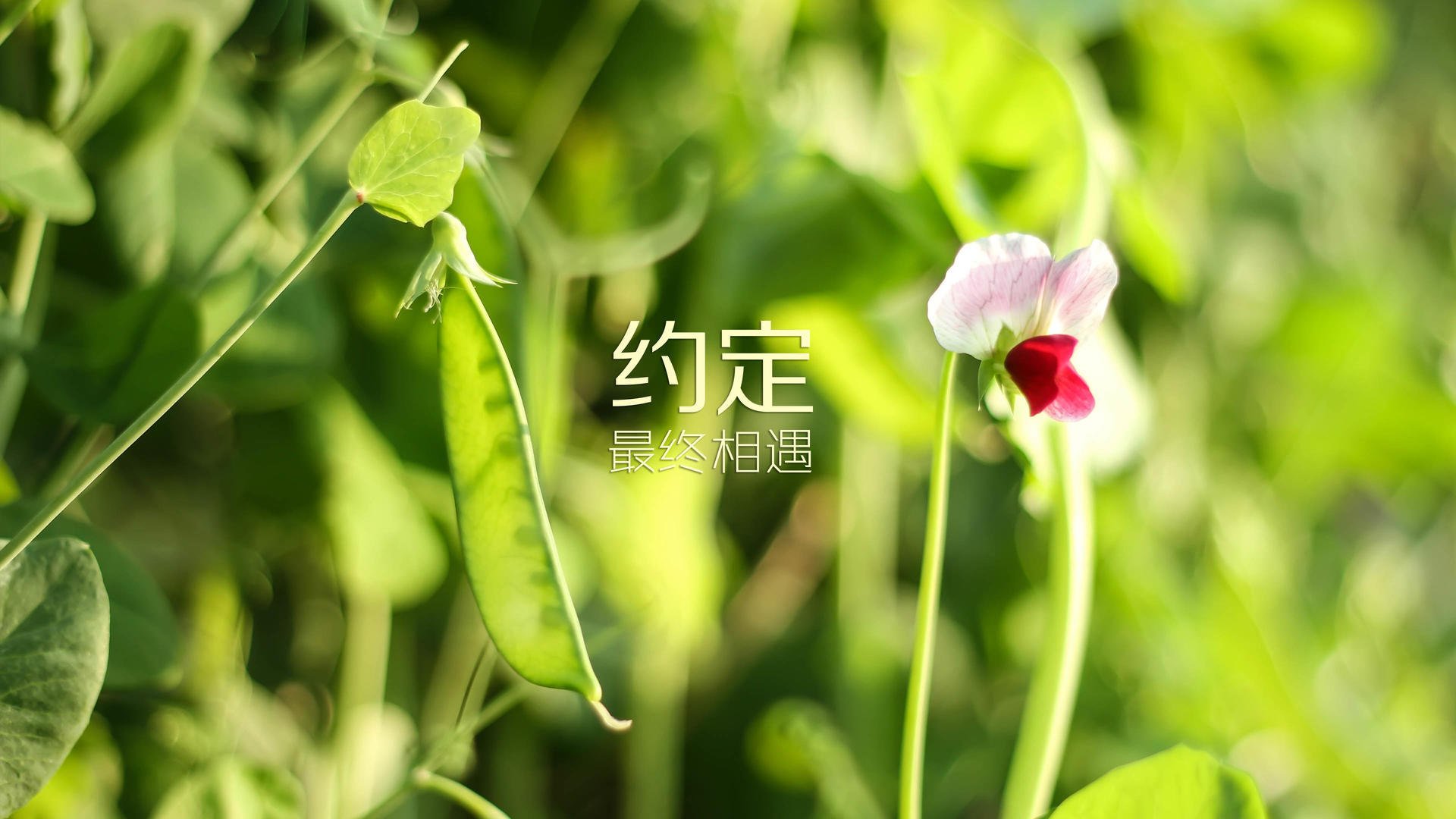 当足球滚过篮球场，冰岛用单节狂飙将德国钉在欧冠半决赛的悬崖边