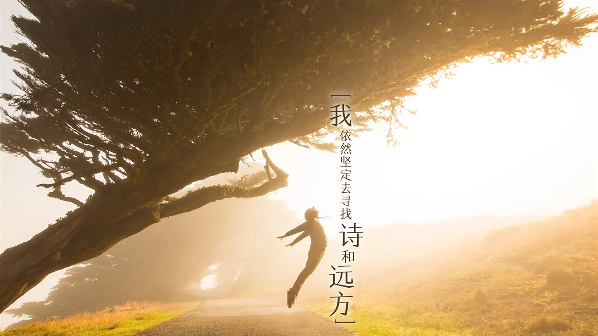 当拜仁的铁血映照伊拉克的星空,一位赖斯如何横跨体育宇宙的终极接管