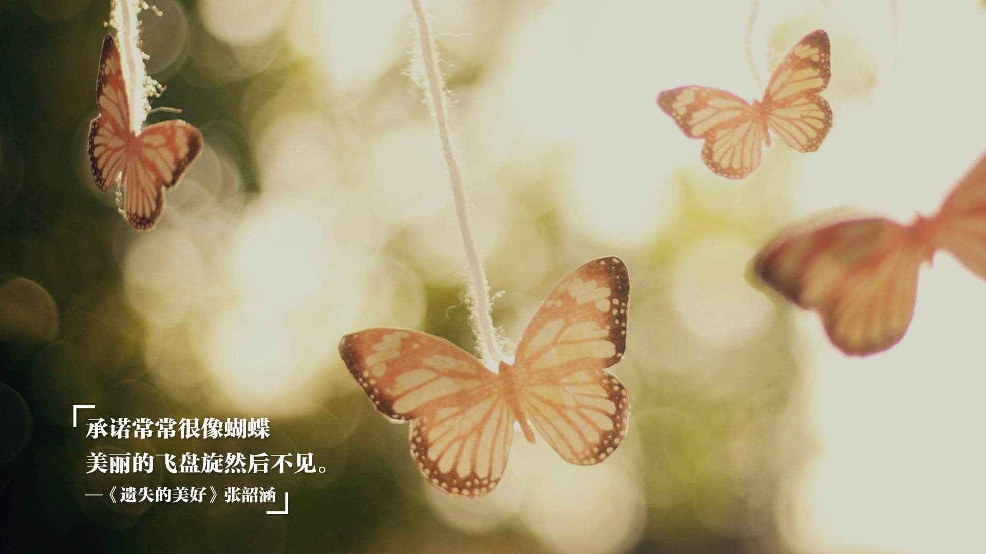 硬仗中的闪耀之星,几内亚力克尼斯,阿坎吉关键先生定乾坤