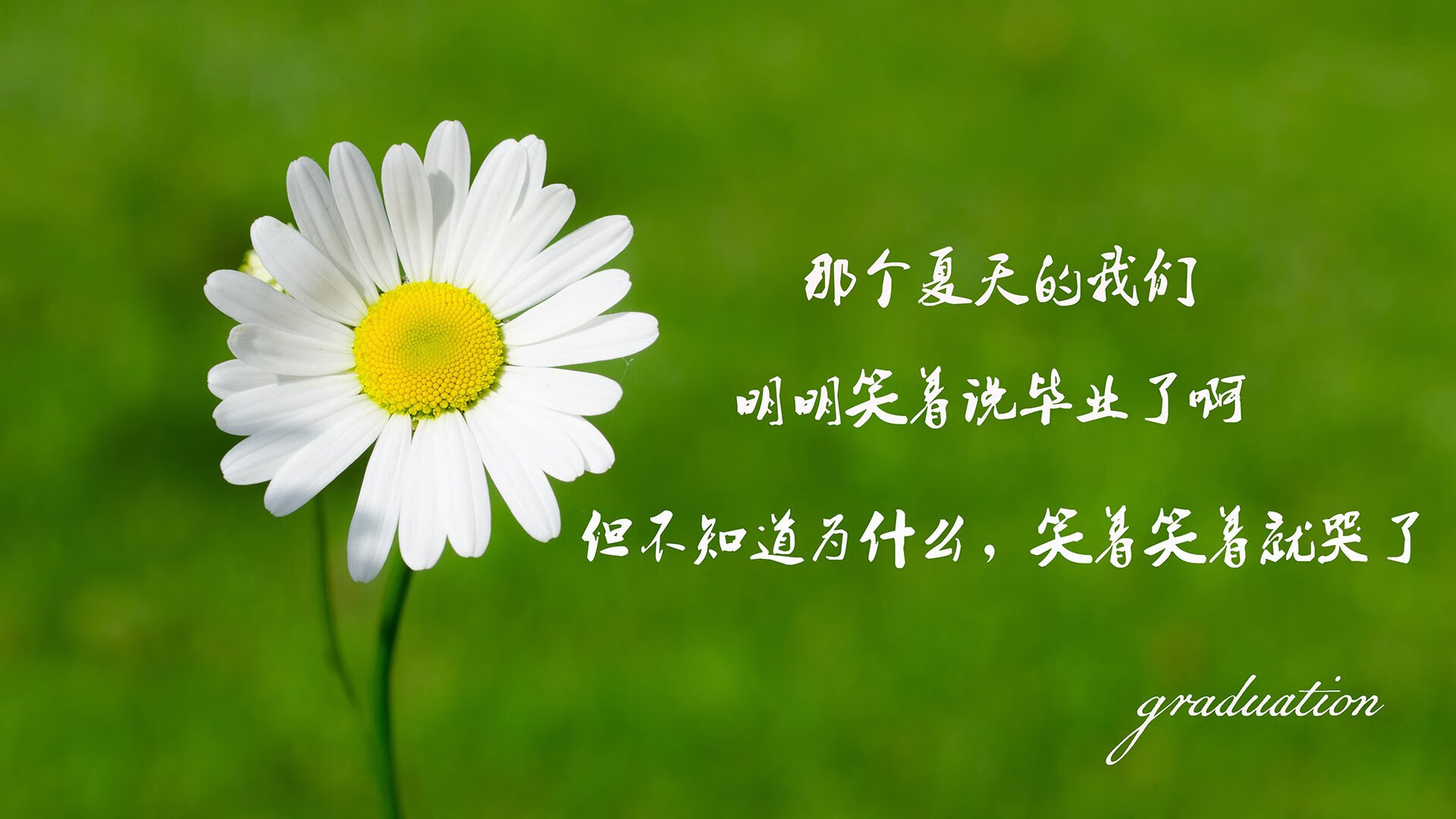 平凡夜晚诞生不平凡英雄，戈贝尔冠军级表现定格年度焦点之战