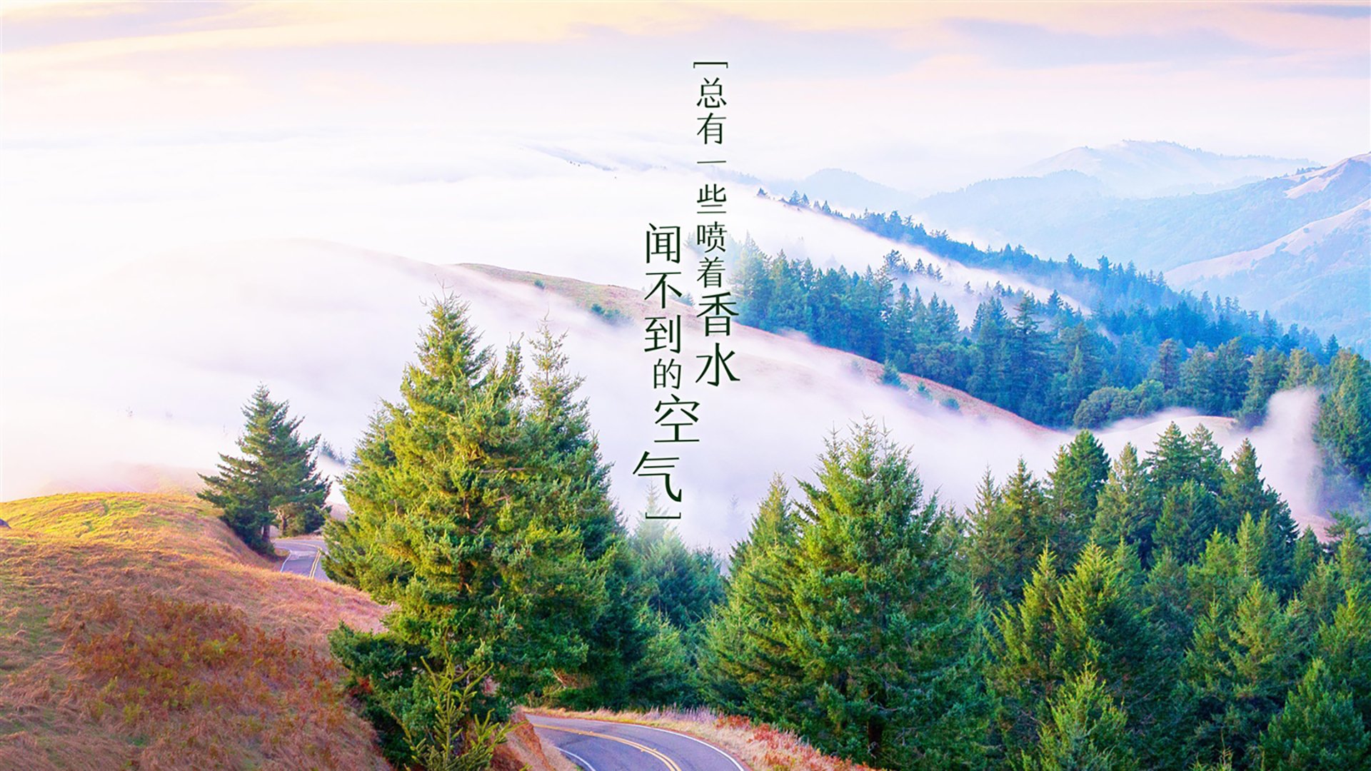 沙漠之鹰啄伤斗牛士的梦，当佩德里的光芒，照亮了C组最冷的早晨
