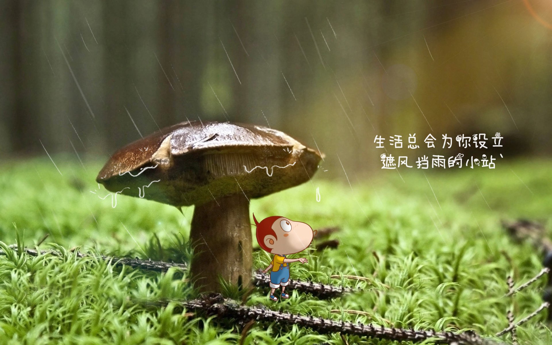 靴刃修罗场,2026世界杯E组生死劫,塔雷米寒光一闪,伊朗绝杀波兰