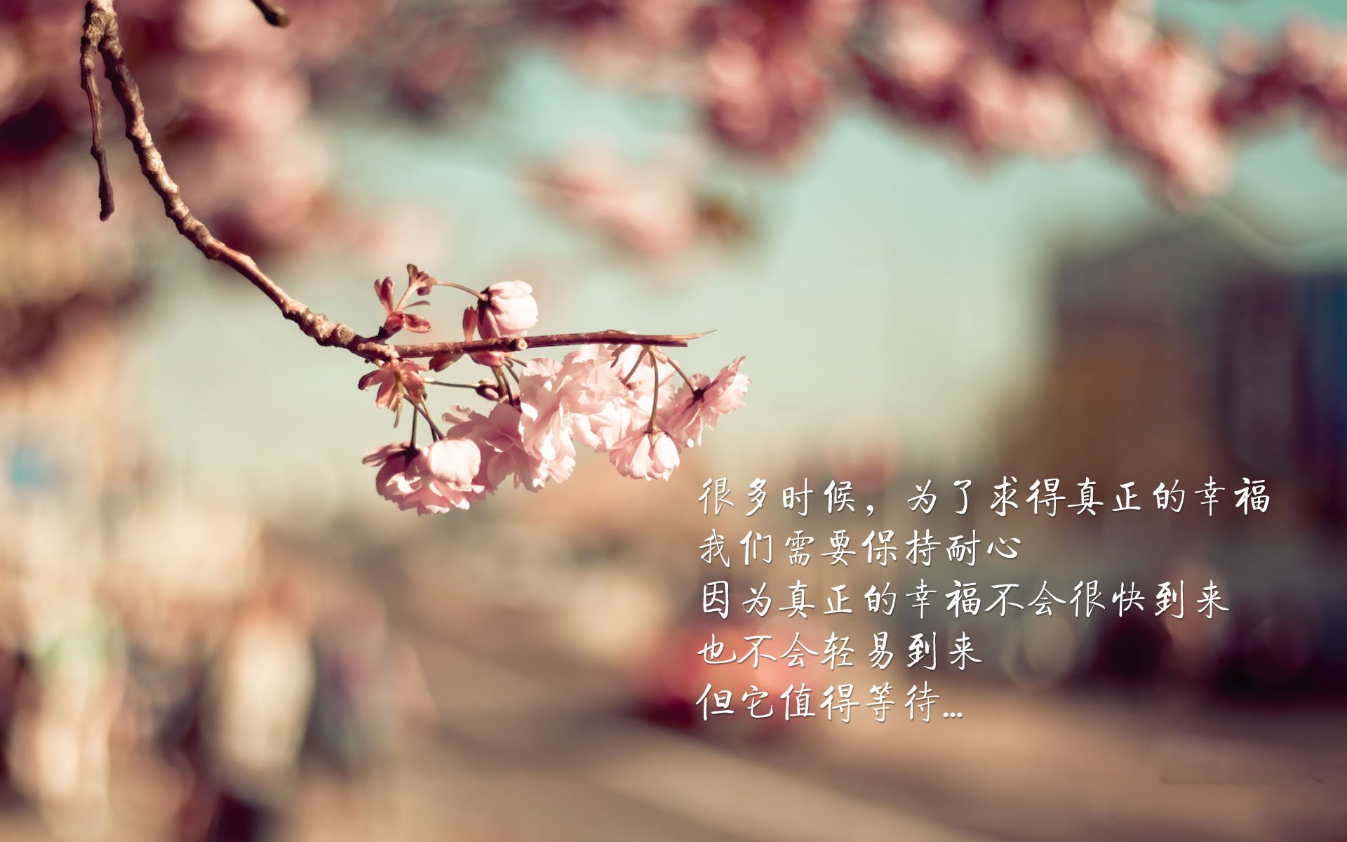 唯一,2026世界杯H组那场无法复刻的节奏风暴
