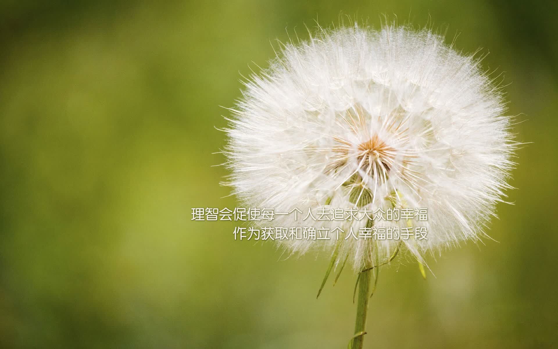 唯一的主宰,京多安用防守反击为泰国打开世界杯胜利之门